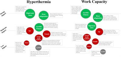 Individual Responses to Heat Stress: Implications for Hyperthermia and Physical Work Capacity